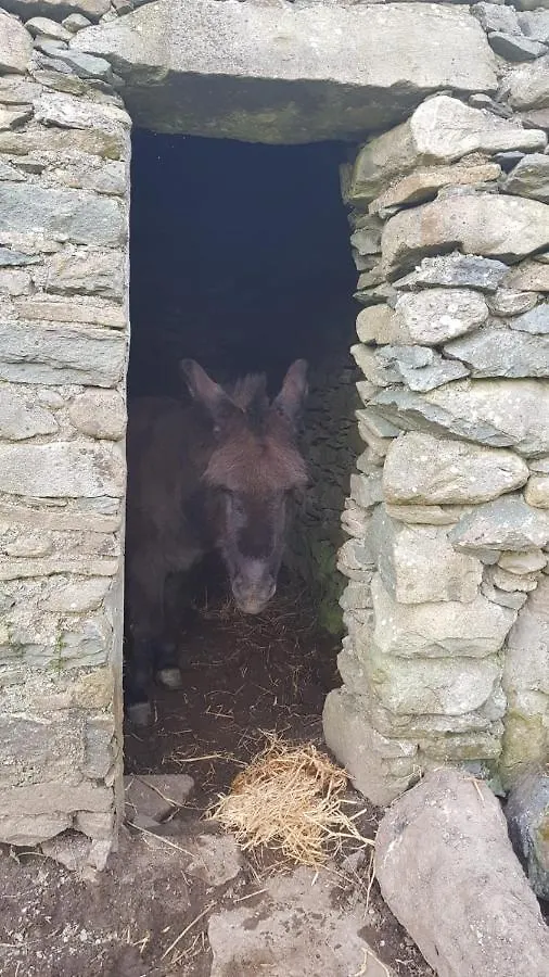 Woodford Guest House In Old Farm Killarney